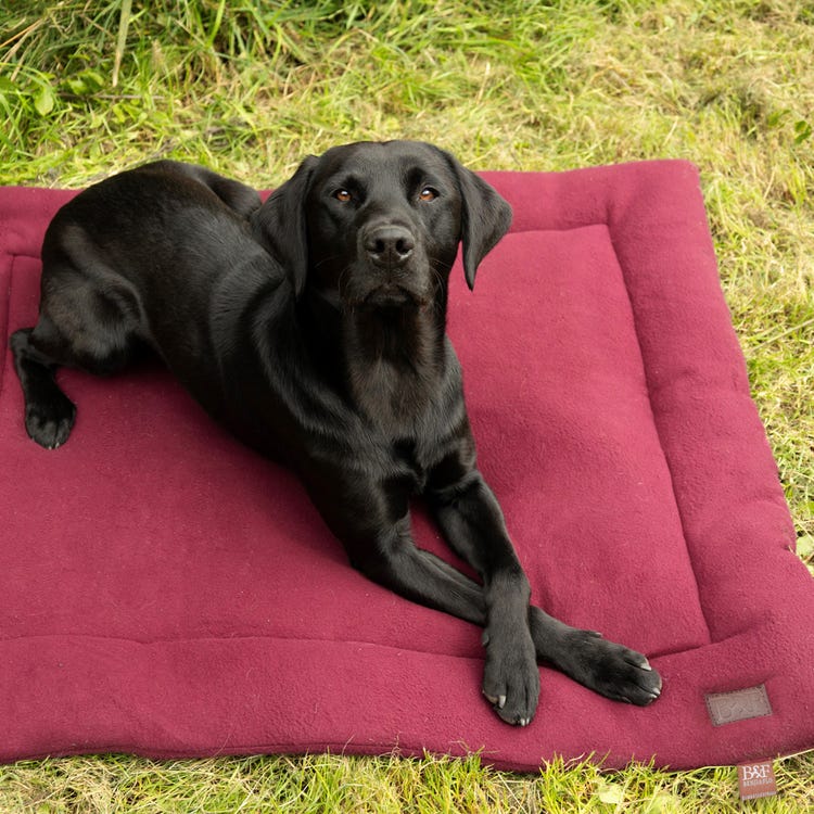 Benji &amp; Flo Luxury Fleece Dog Bed image 6